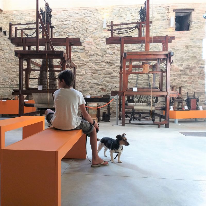Arezzo-Stia-Museo Lana bambini