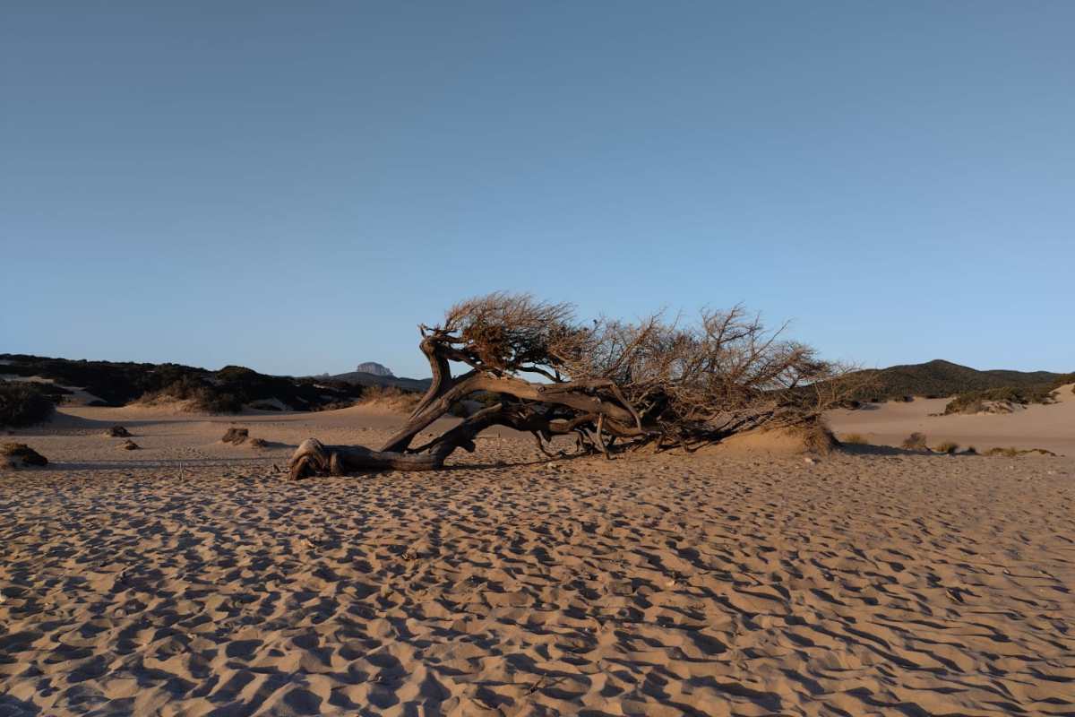 Spiaggia dune Piscinas cosa vedere