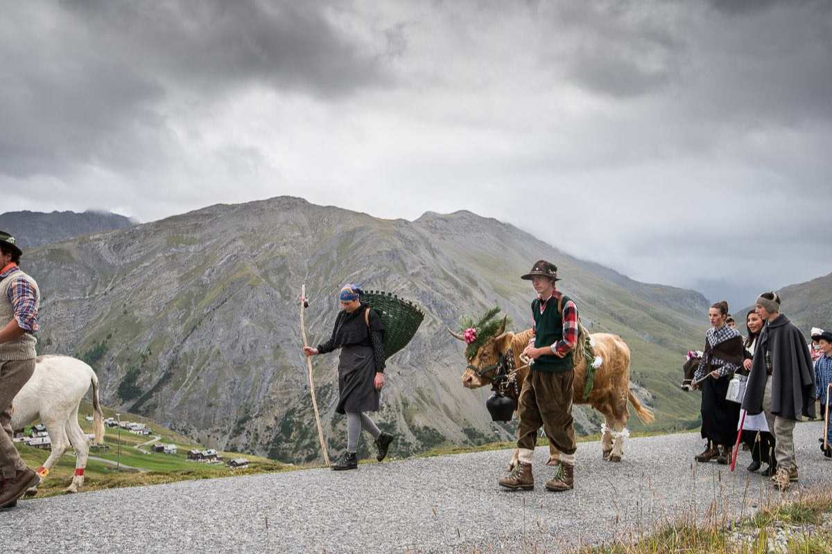 Transumanza alpen fest Livigno Sondrio settembre