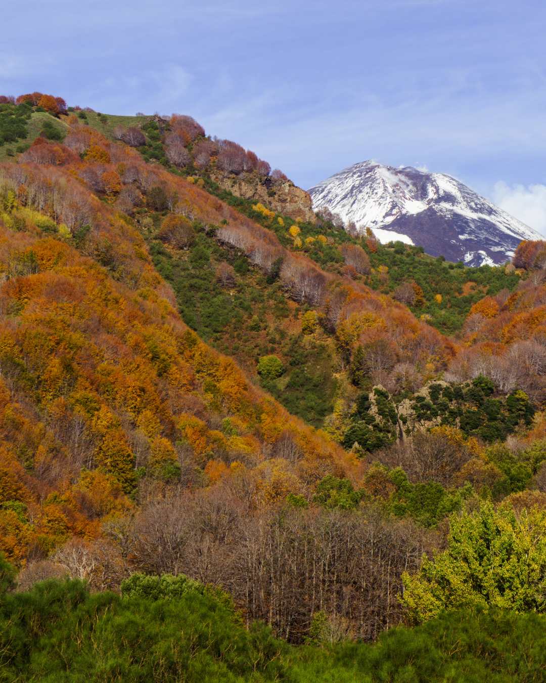 Foliage dove vedere sicilia Etna (1)