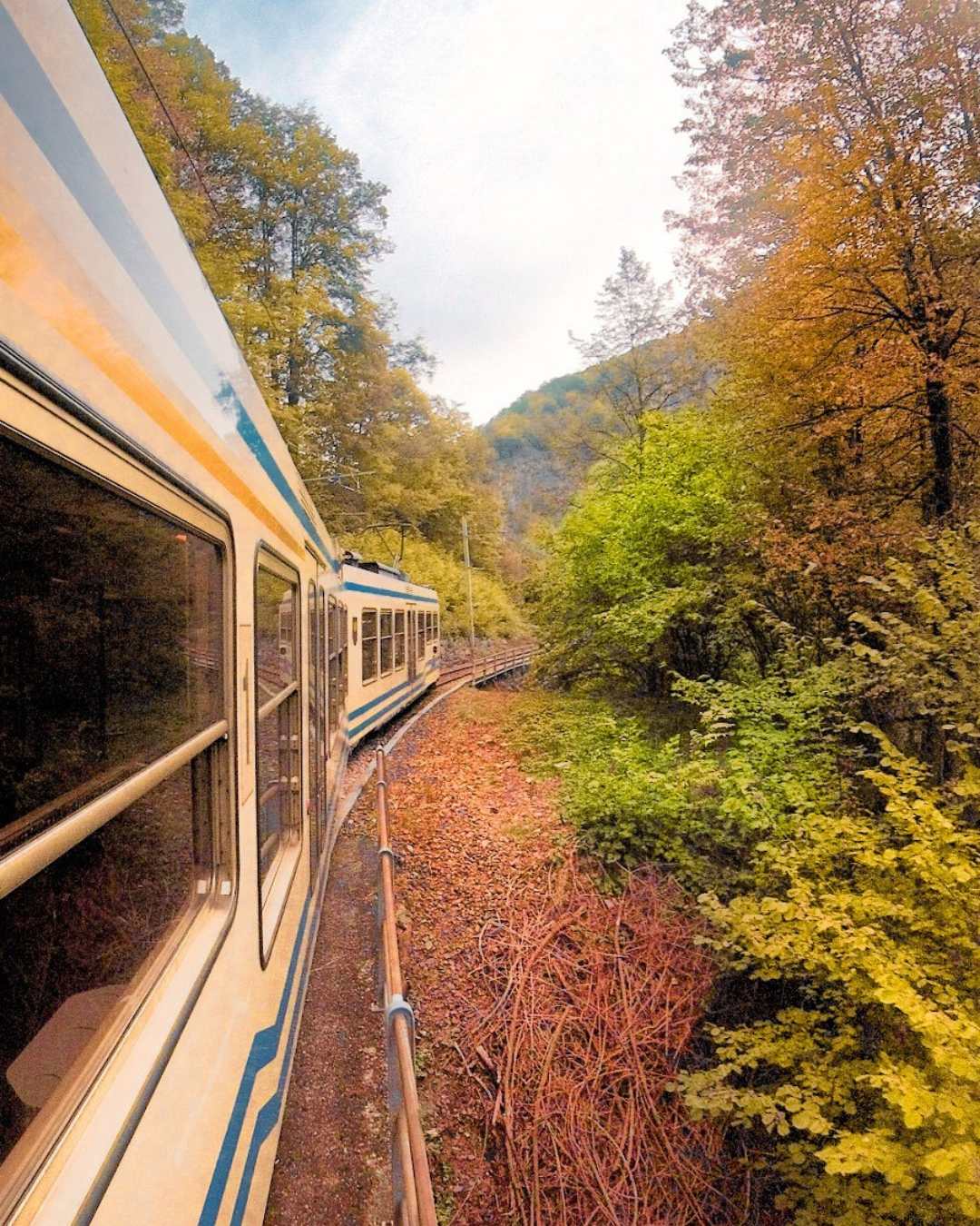 Treno del Foliage® della Ferrovia Vigezzina-Centovalli