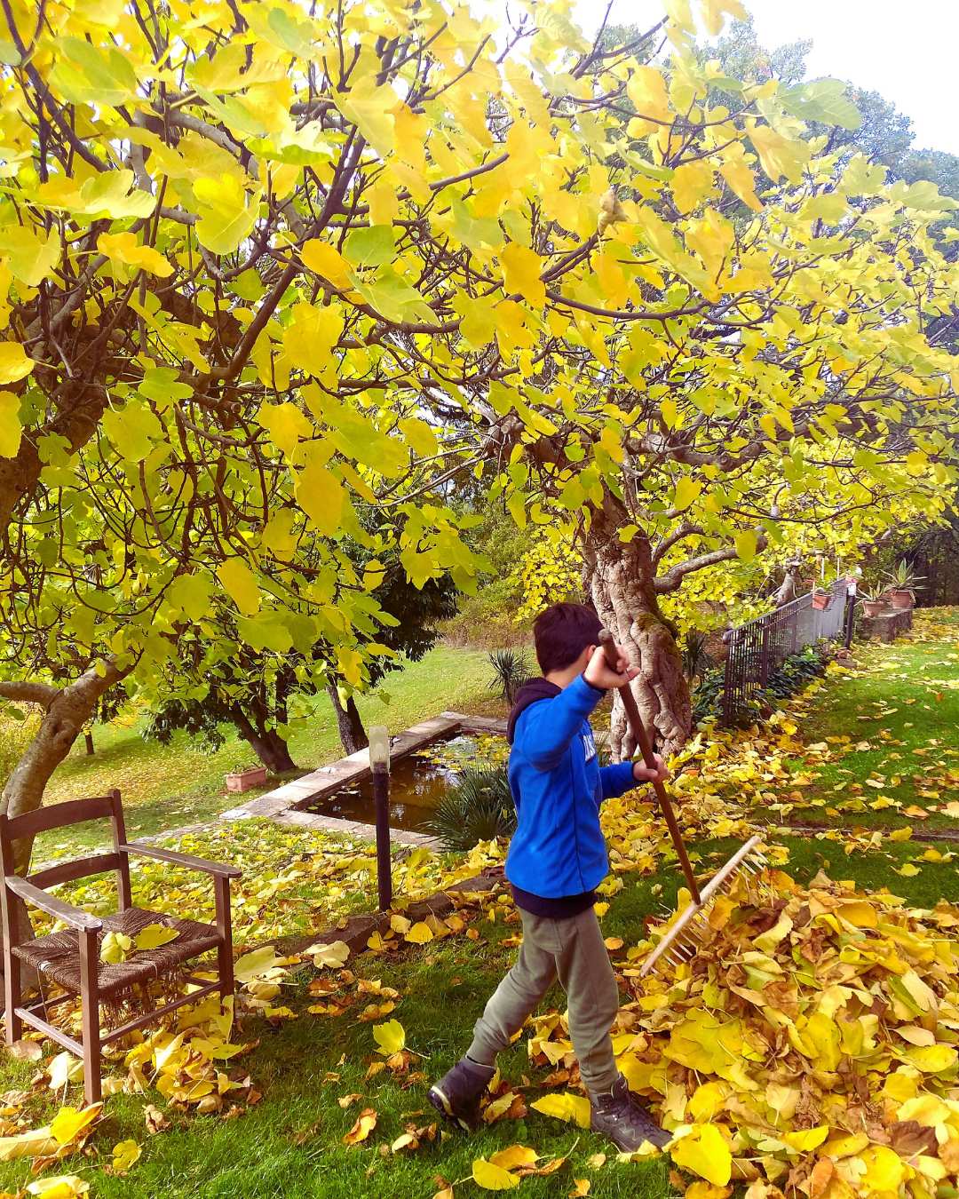 foliage foreste casentinesi toscana