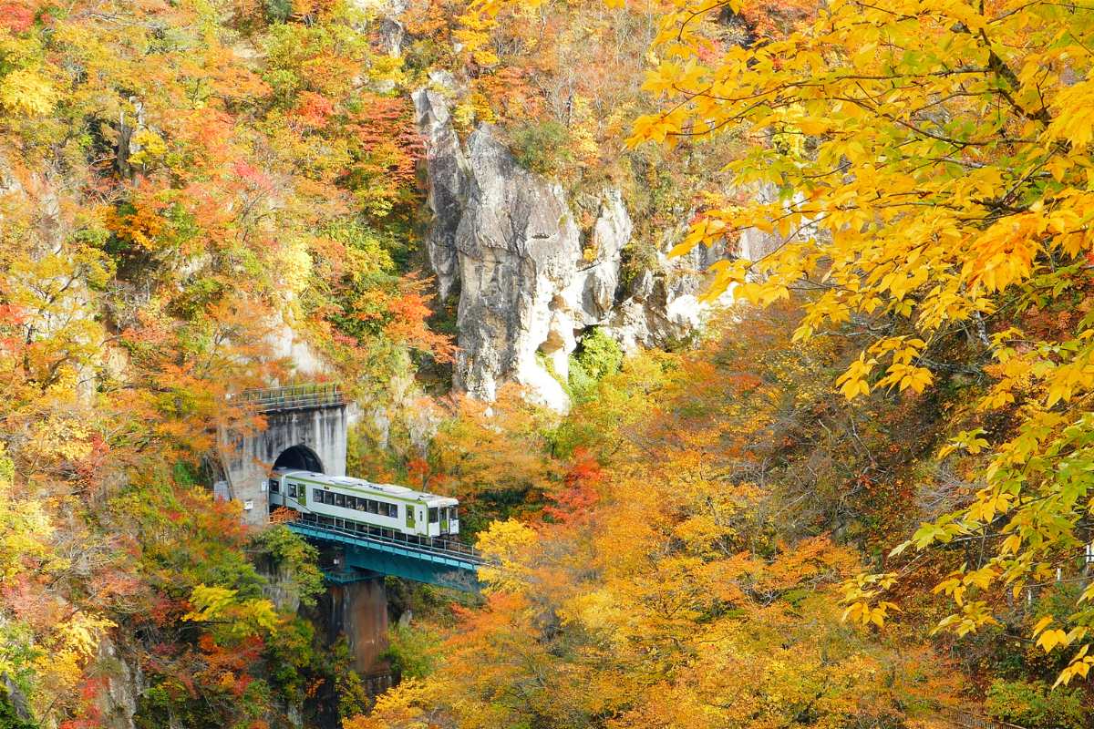 treni del Foliage italia