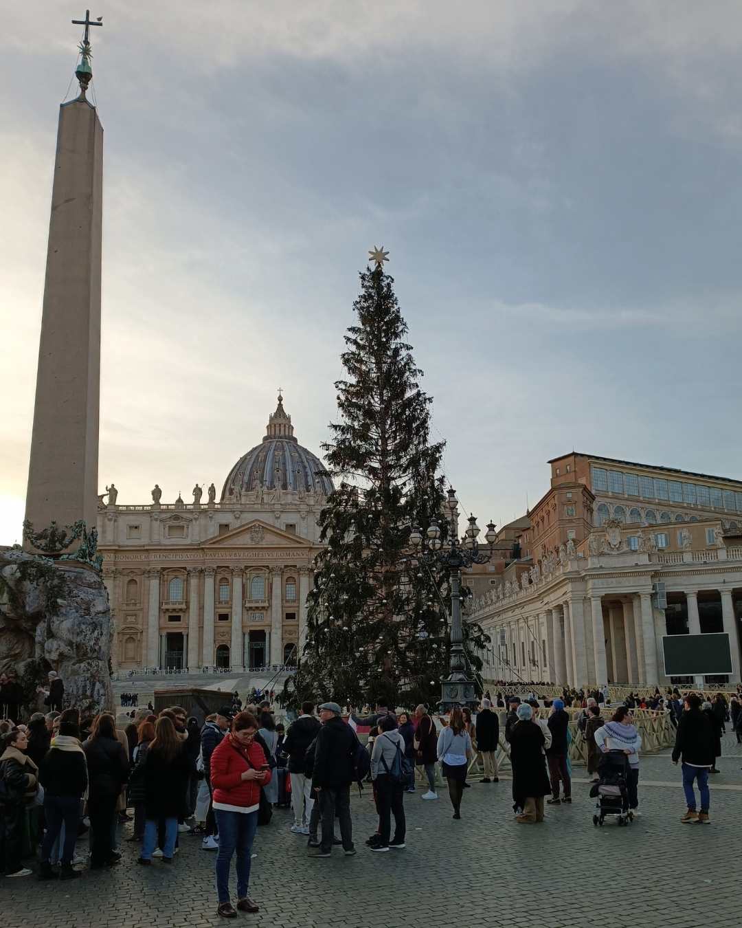 Roma albero natale piazza S Pietro