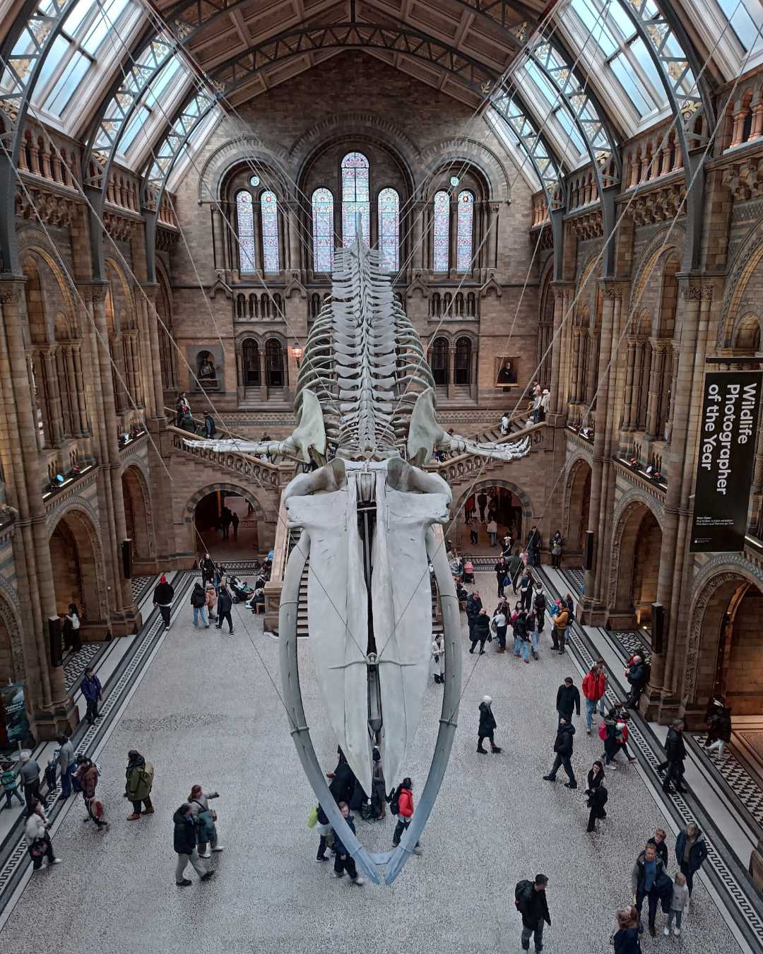 londra cosa vedere con bambini museo storia naturale Natural History Museum